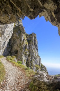 Meatte hiking trail leads along a war road from the First World War through many tunnels, Pieve del