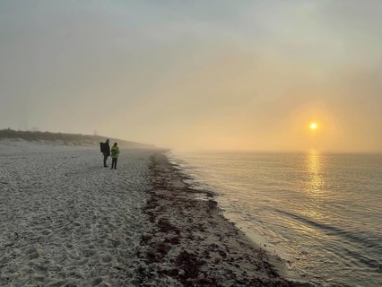 Sunset, fog on the beach in the Western Pomerania Lagoon Area National Park, Darss-Zingster Bodden