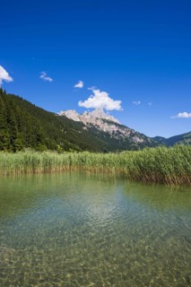 Haldensee, Tannheimer Tal, behind it the Rote Flüh, 2108m, Tannheimer Berge, Allgäu Alps, Tyrol,