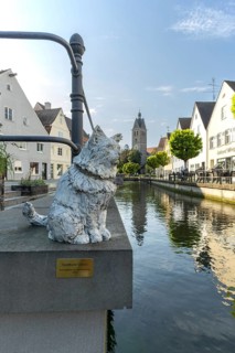 Bronze sculpture by Cornelia Brader: City tomcat Chicco at the city stream, behind it Our Lady's