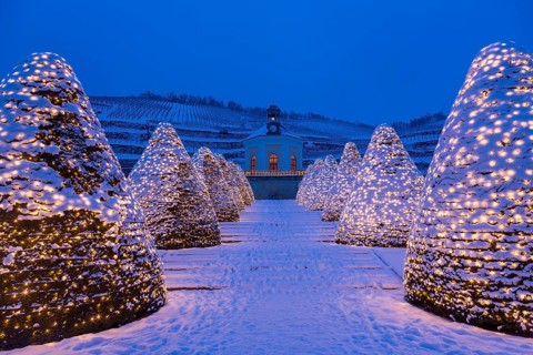 Belvedere Pavilion in winter in front of vineyards, with Christmas lights, Weingut Schloss