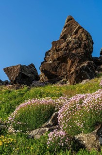 A rock with the shape of a head, so-called pareidolia, on the headland of Gurnard's Head. In the