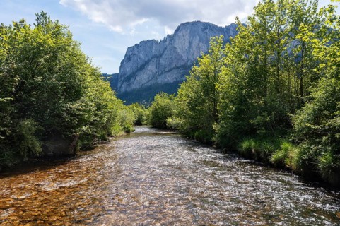 Straightened course of the Fuschler Ache near Sankt Lorenz, banks overgrown with trees,