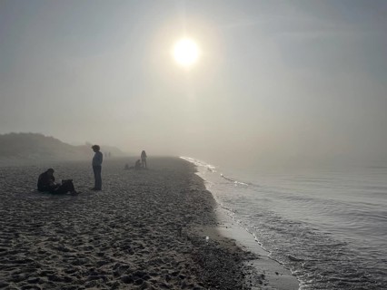 Fog on the beach in the Western Pomerania Lagoon Area National Park, Darss-Zingster Boddenkette,