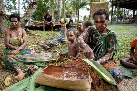 Local woman preparing banana leaves with roasted marrow of the Sago palm, village Pangoa, island