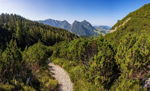 Hiking trail through a mountain pine forest to the Rinnkogel with a view of the Gamsfeld, Postalm,