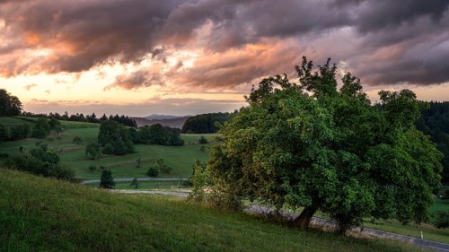 Landscape in the Odenwald with trees, meadows, forest, hills and a road. Sunset. Lampenhain,