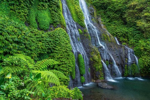 Banyumala twin waterfalls, waterfall, jungle, rainforest, water, nature, botany, holiday, paradise,