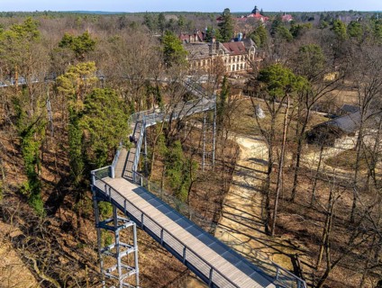 Treetop path on the historic site of the former tuberculosis sanatorium in Beelitz, Brandenburg,