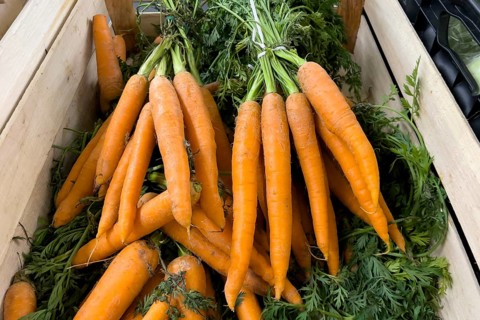 Bunch of carrots (Daucus carota) in display of grocery retailer wholesale fruit and vegetable