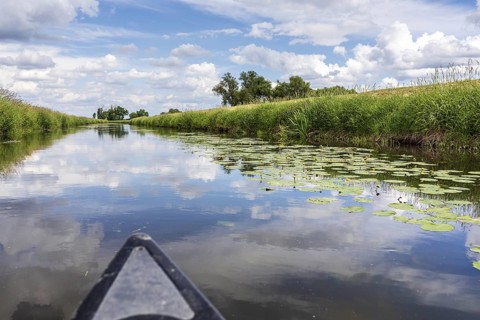 Canoeing on the Große Röder with blooming water lilies (Nuphar) near Wildenhain, Großenhain,