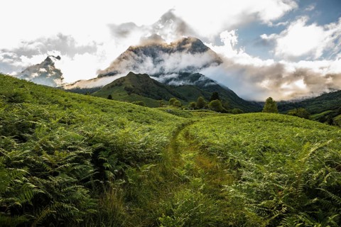 Mountain landscape, Lescun, Département Pyrénées-Atlantiques, Region Nouvelle-Aquitaine, Pyrenees,