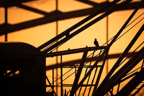 The silhouette of a pigeon sitting on the boom of an old crane at the Weseler Werft shipyard in