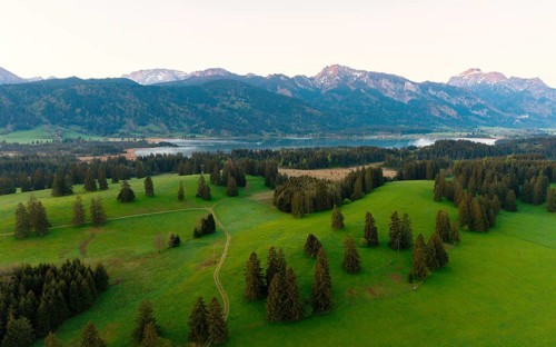 Green meadows and forests with mountains in the background in front of sunrise, Bannwaldsee, Alps,