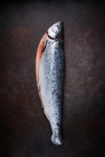 Freshly frozen salmon, peeled, on the table, top view