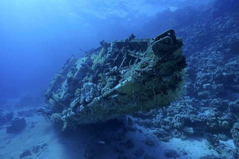 A coral-covered shipwreck of a sailboat lies in the deep blue sea, dive site Small Abu Reef, Fury