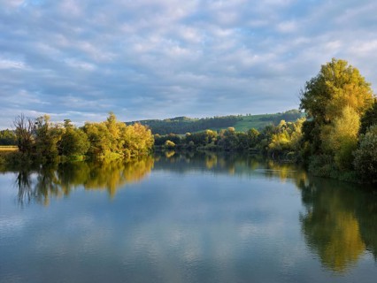 Morning atmosphere at the shallow lake with trees reflected in the water, Rottenschwil, Canton