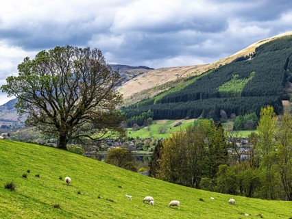 Farm and mountains, Loch Earn, Southern Highlands, Scotland, United Kingdom