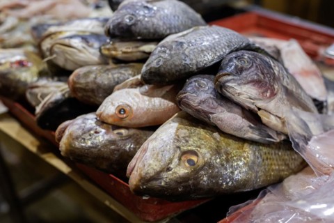 Oaxaca, Mexico, Fish on sale at the Benito Juarez Market. Opened in 1894, it is one of the largest
