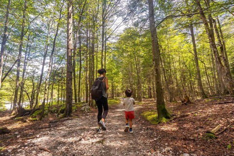 Mother and son enjoying a hike through the lush forest of logarska dolina valley in slovenia,