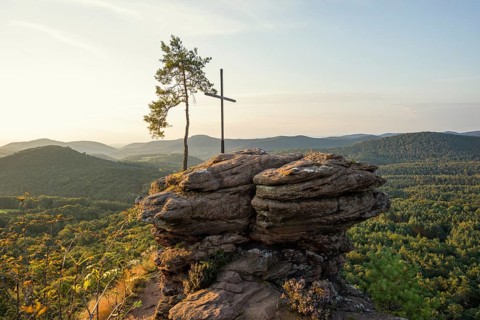 Sandstone rock with pine tree and summit cross, Rötzenfelsen, sunrise, Gossersweiler-Stein,
