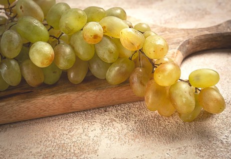 A branch of white grapes, wine grapes, Georgian grape variety Rkatsiteli, top view