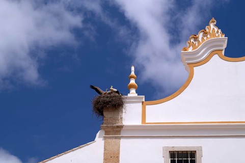 Church Igreja de Nossa Senhora da Conceição, stork, stork's nest, Portimão, Algarve, Portugal