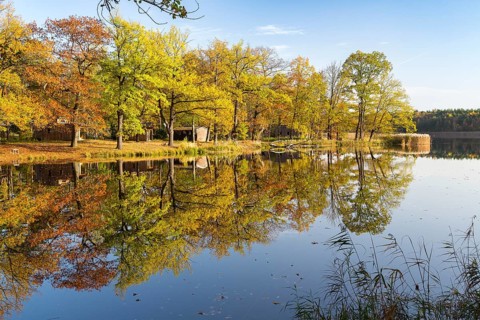 Autumn atmosphere at the Brettmühlenteich, Zschornaer Teiche, Thiendorf, Saxony, Germany