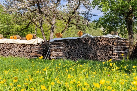 Pile of firewood in an orchard. Erkenbrechtsweiler, Baden-Württemberg, Germany