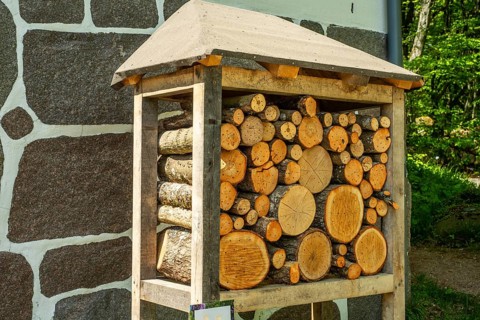 Insect asylum, insect box, insect hotel, bee house, an artificial help for nesting and