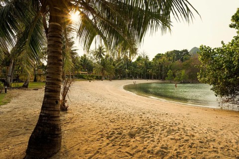 Picturesque beach with coconut palms and huts, sunset, Klong Son Beach, Ko Chang, Koh Chang, Mu Ko