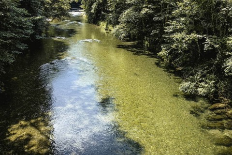 Mangfall near Bruckmühl, district of Miesbach, Upper Bavaria, Bavaria, Germany