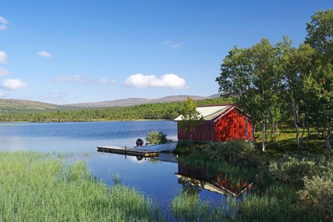 Red hut on a quiet lakeshore, surrounded by trees under a blue sky, Idyll, Glomma, Röros,