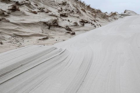 Dune landscape, Amrum, Schleswig-Holstein, Germany