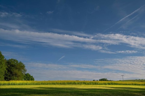 Flowering rape field, (Brassica napus) cloudy sky, Beerbach, Middle Franconia, Bavaria, Germany
