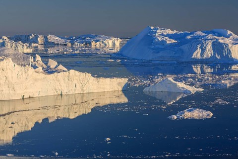 Icebergs and ice floes reflected in the water, summer, midnight sun, Jakobshavn glacier and ice