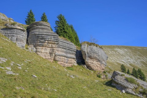 Surface karst rock formations, circular hike Monte Fior, Foza, province of Vicenza, Italy