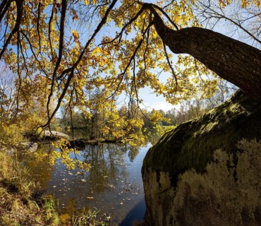 Fish pond with granite rocks and autumn-coloured oak in the Blockheide nature park Park near Gmünd,