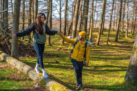 Hikers navigating the woods, supporting each other while balancing on a fallen tree trunk, enjoying