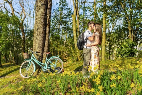 Romantic couple kissing in a spring park with a bicycle leaning against a tree and daffodils in the