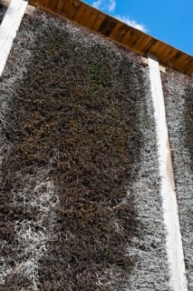 Kneipp wall made of branches in a wooden frame, in front of a blue sky, brine, graduation tower,