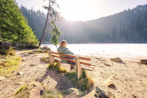 Woman on a bench, looking at the snowy lake, surrounded by trees, while the sun shines brightly,