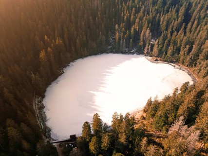 A white lake with surrounding rows of trees, taken at low temperatures, Glaswaldsee, Bad