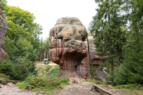 Natural monument Kelchsteine with mushroom rock Kelchstein near Oybin, Zittau Mountains, Saxony,