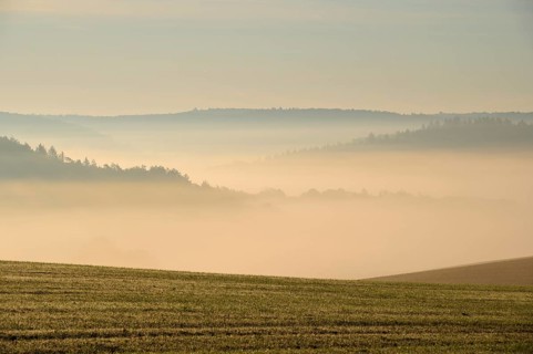 Landscape, Field, Valley, Forest, Fog, Morning, Altertheim, Würzburg, Bavaria, Germany