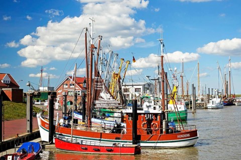 Fishing cutter, harbour, Ditzum, East Frisia, Lower Saxony, Germany