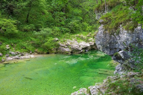 Emerald green river Pozze Smeraldine, Tramonti di Sopra, Province of Pordenone, Italy