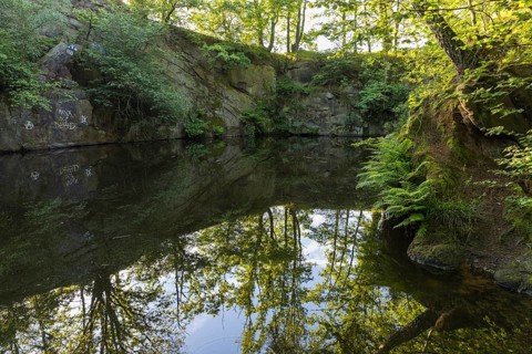 Old quarry with reflection, Callenberg, Schirgiswalde-Kirschau, Upper Lusatia, Saxony, Germany