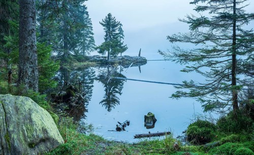 Großer Arbersee in the fog, Bavarian Forest, Lower Bavaria, Bavaria, Germany