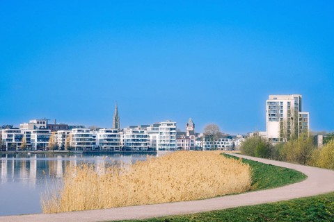 View of the circular path at Lake Phoenix, faded reeds, commercial buildings in the background,